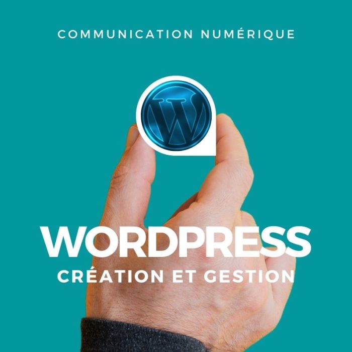 Formation Wordpress
