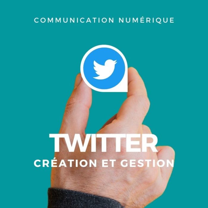 Twitter création et perfectionnement