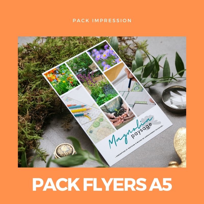 Pack Flyers – Image 5